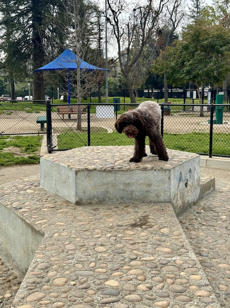 Westwoof Dog Park